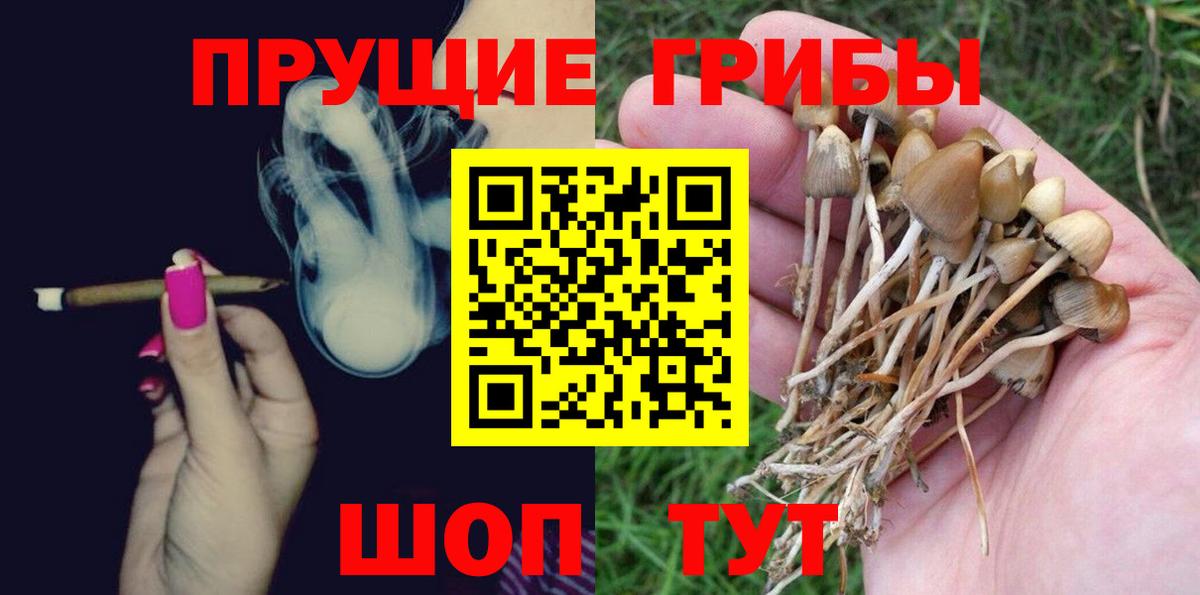 Мирный  Галлюциногенные грибы Cubensis  Вход с VPN  Псилоцибиновые грибы мицелий 